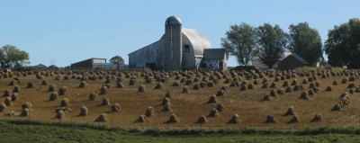 Elmer Township oat field